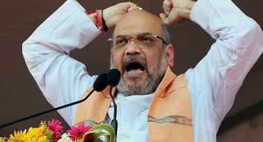 Amit Shah is likely to continue as the party chief