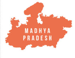 Madhya Pradesh ,Death,Crime,PUBG